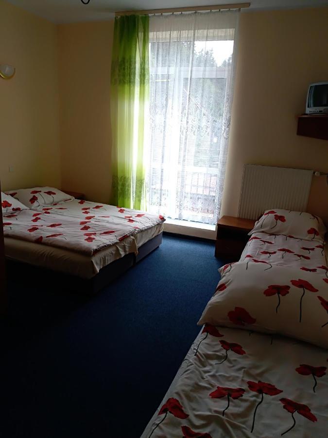 Osrodek Wypoczynkowy Ognisko Hotel Krynica Zdroj Ngoại thất bức ảnh